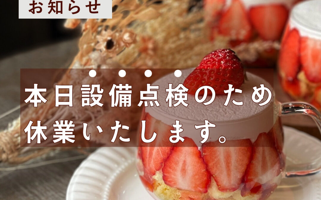 おはようございます！Beringeicafeです