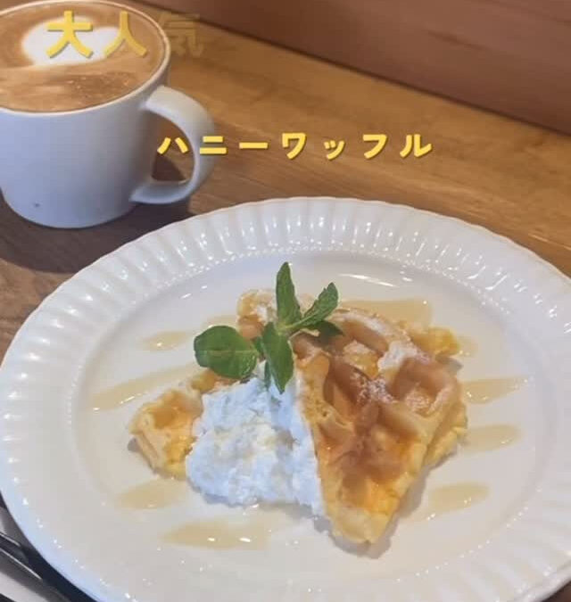 Beringeicafeです